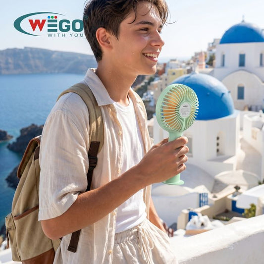 WEGO WG-9916 fan in use